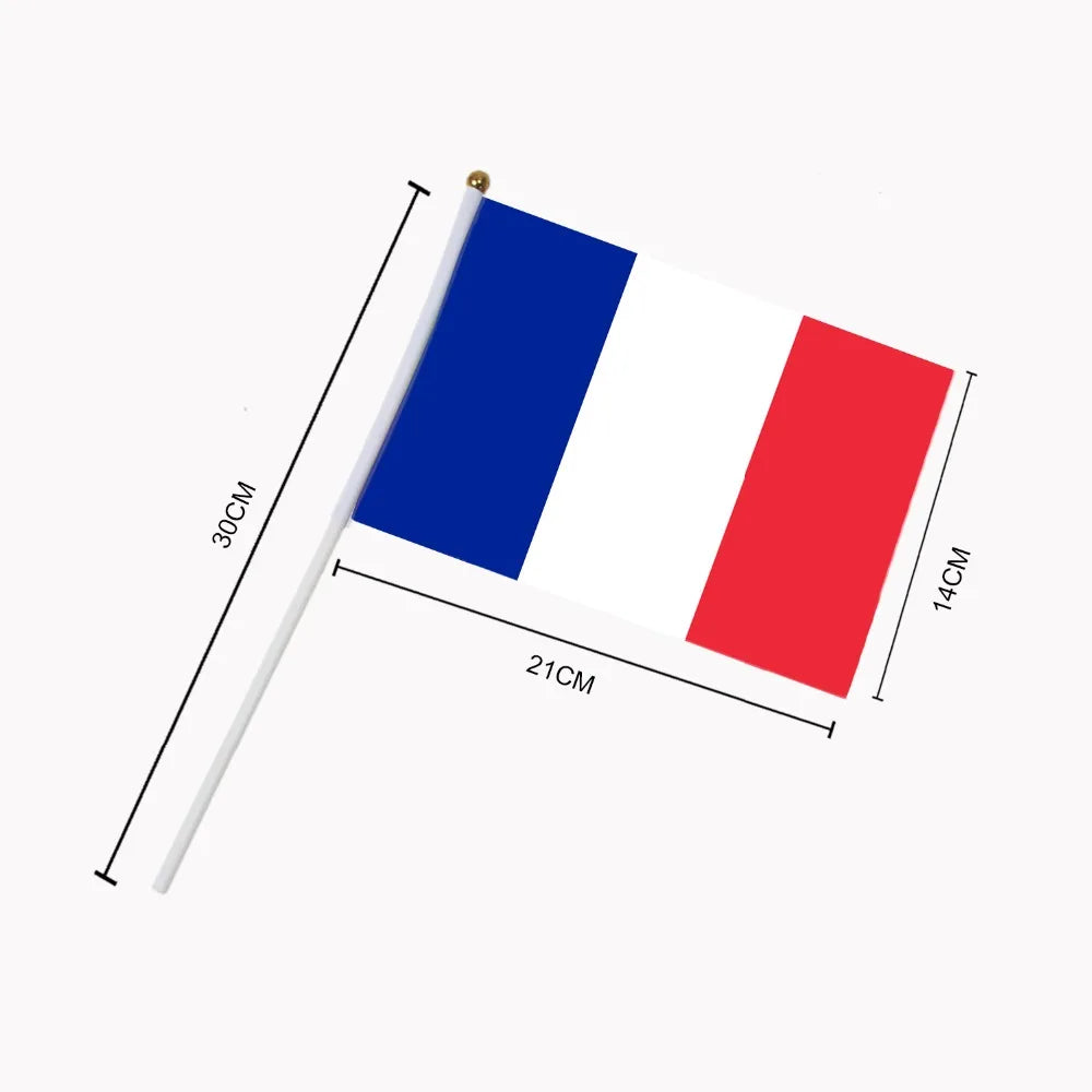 Lot de 10 Drapeaux à Main